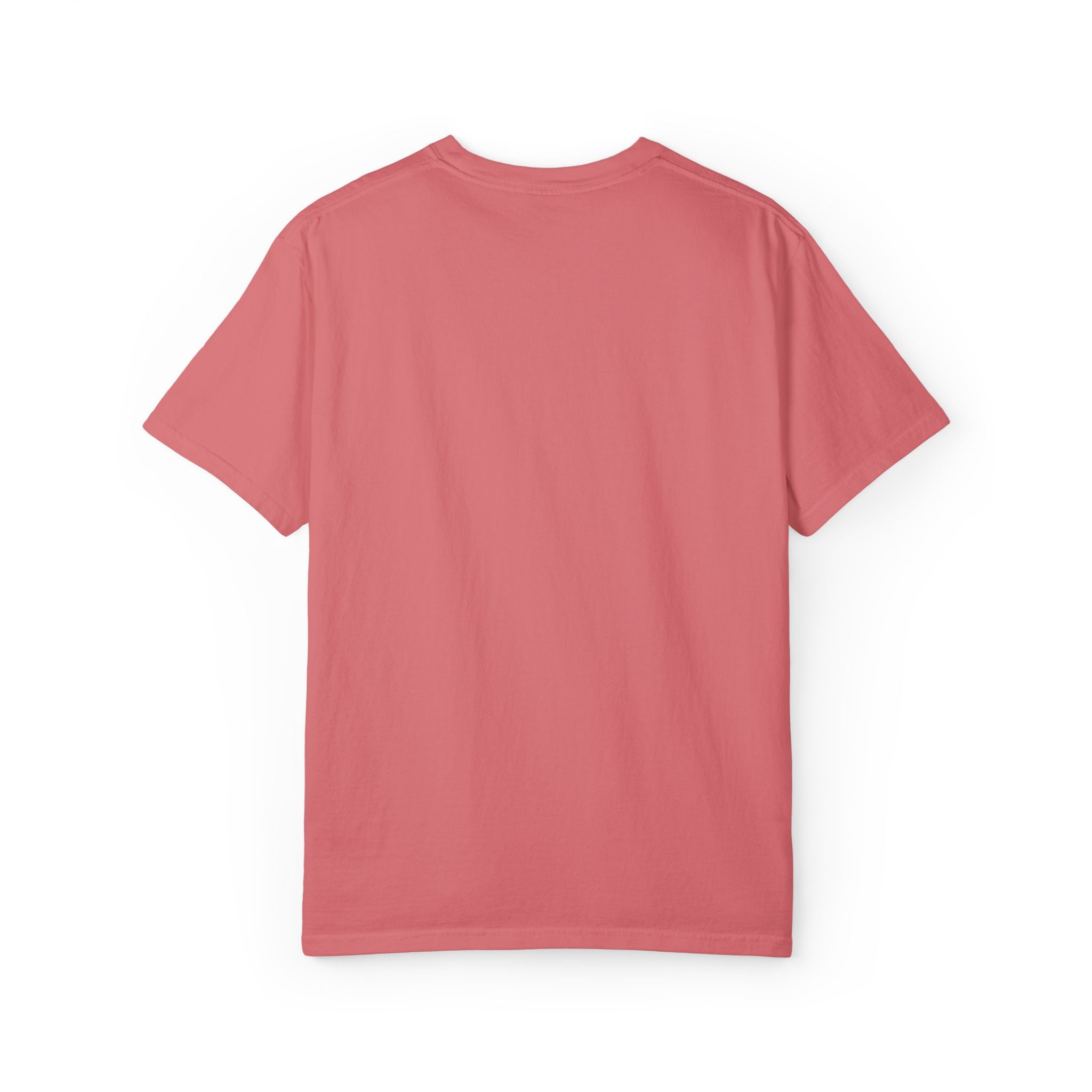 Embroidery Unisex Garment-Dyed T-shirt
