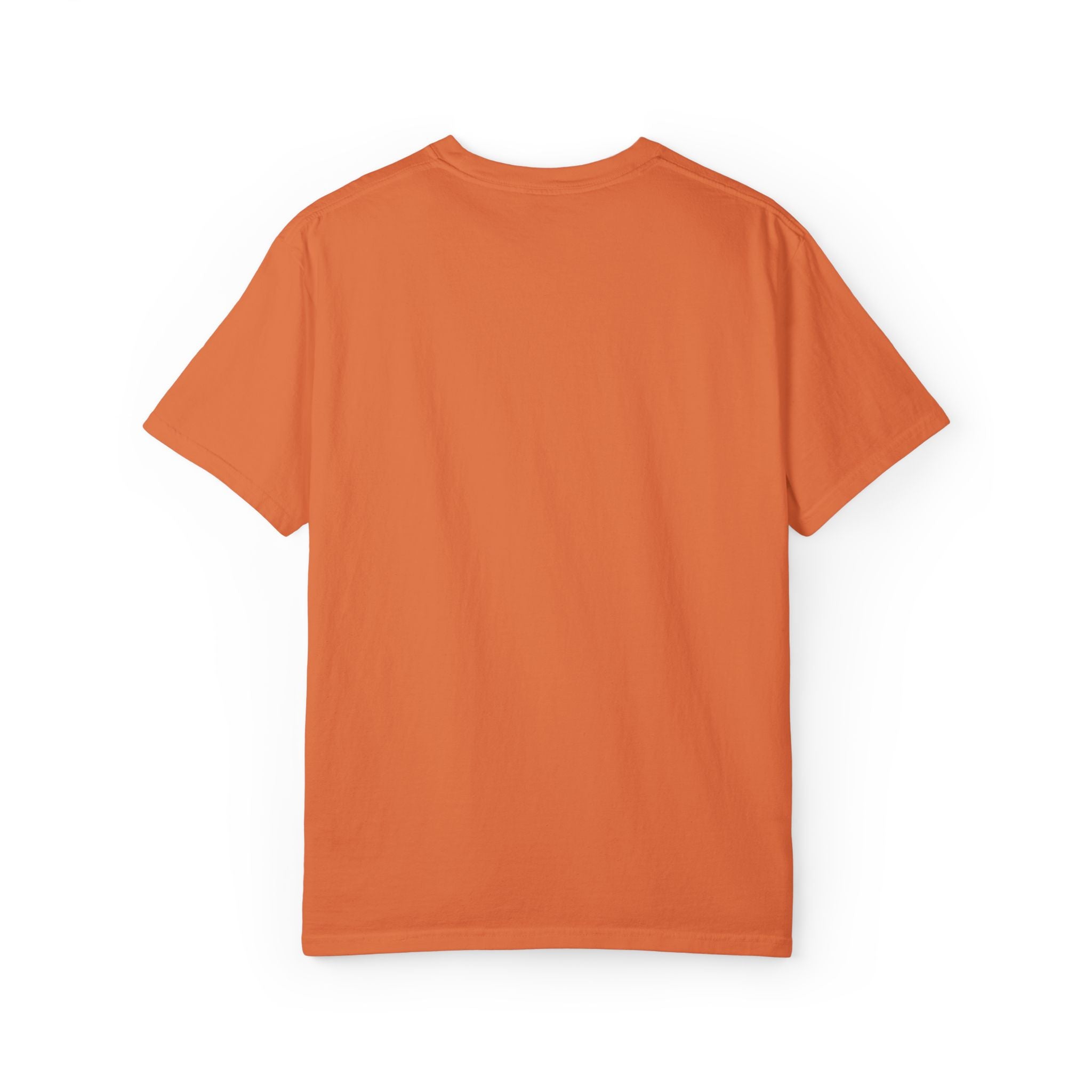 Embroidery Unisex Garment-Dyed T-shirt