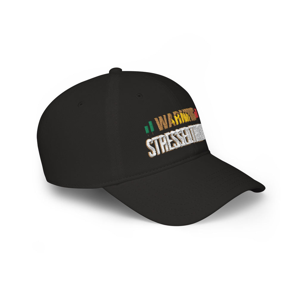 Be Quiet- Embroidered Low Profile Baseball Cap