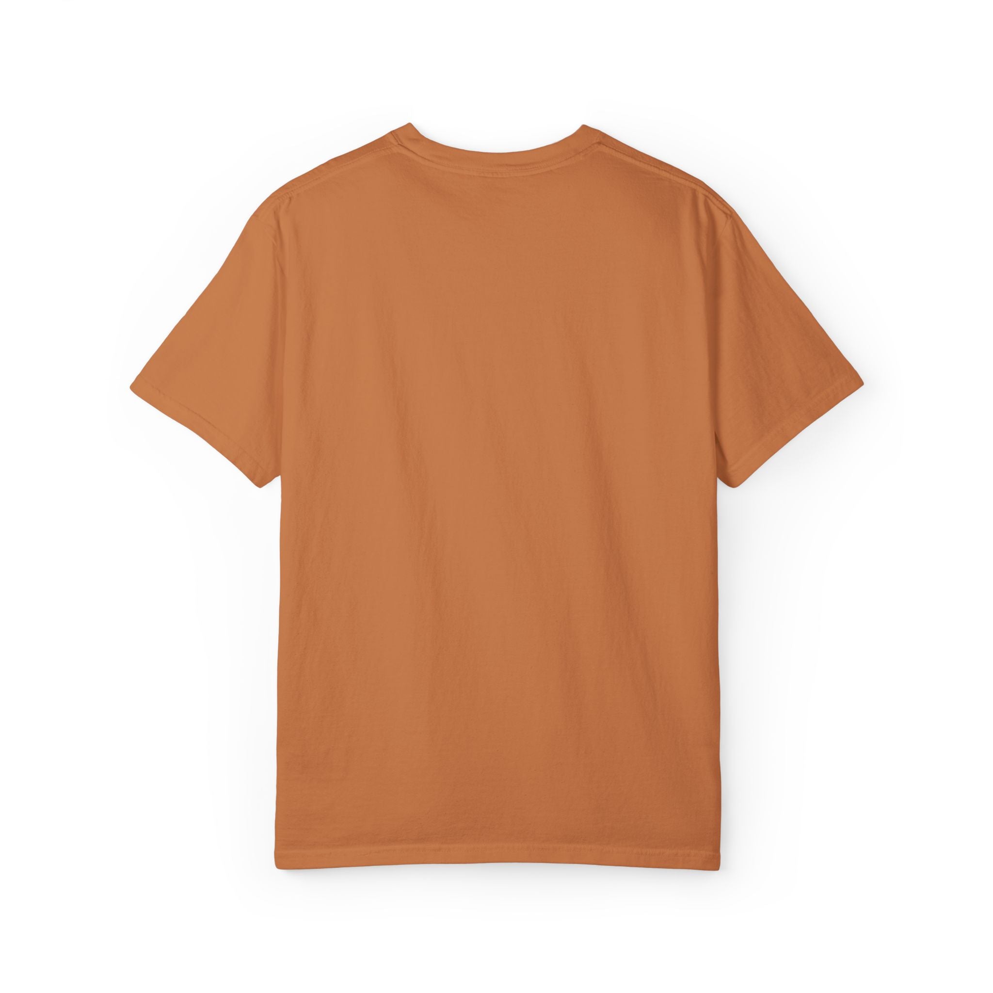Embroidery Unisex Garment-Dyed T-shirt