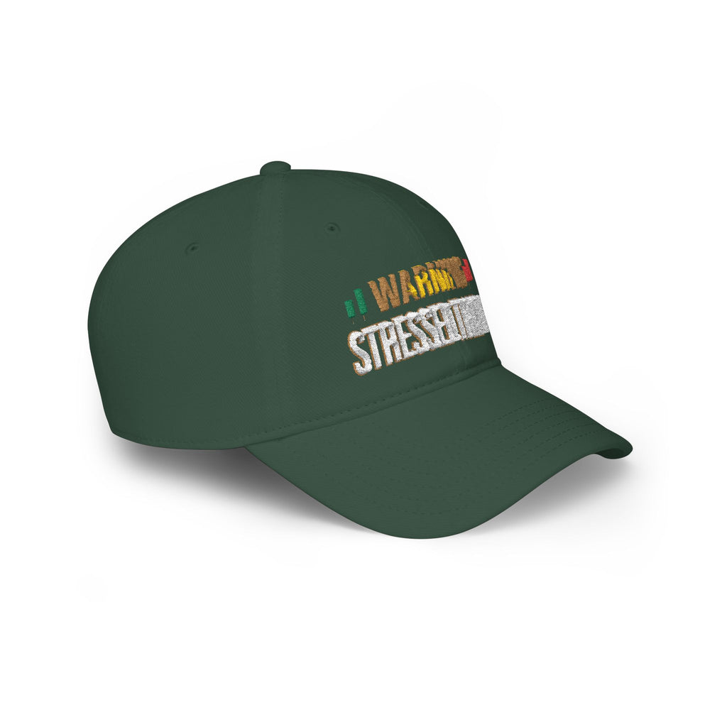Be Quiet- Embroidered Low Profile Baseball Cap
